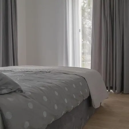 J7 With Terrace * Palanga